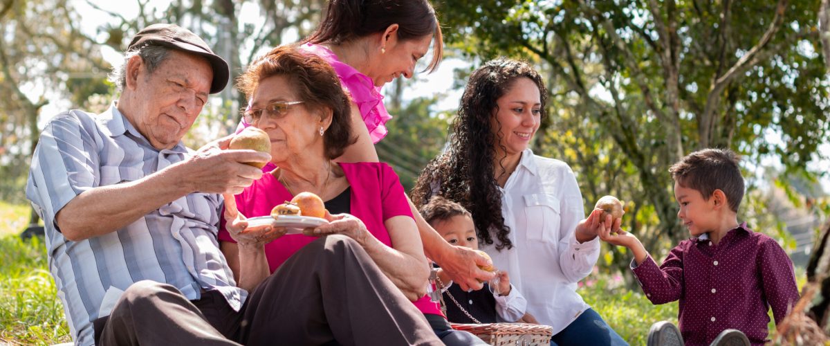Elderly couple with their daughters and grandchildren have a picnic in the countryside. Happy family.